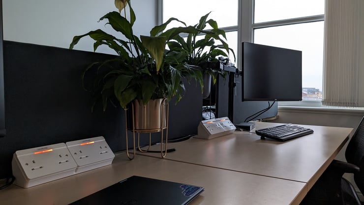 measurable.energy desk mounted socks on a office desk.